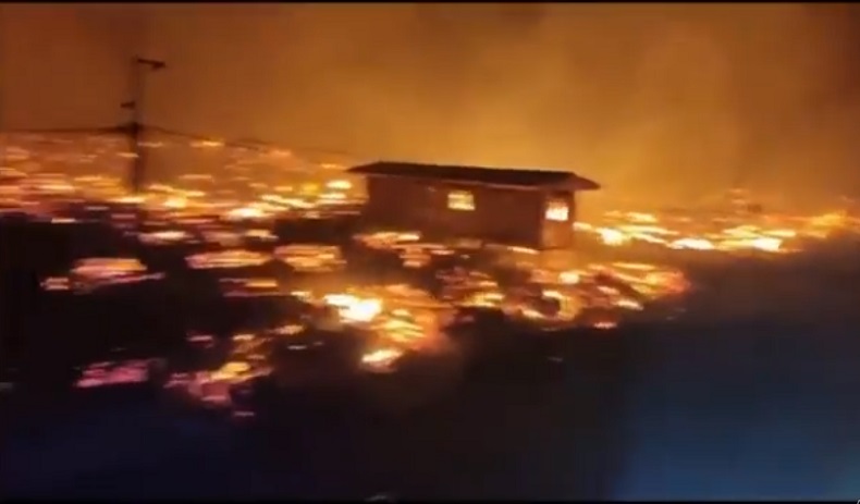 Lahan Kosong 130 Ha Milik Kilang Minyak Pertamina Tuban Terbakar Hebat, Ini Penampakannya