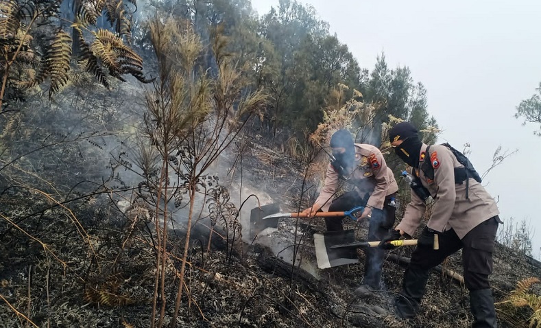 12 Hari Kebakaran di Gunung Arjuno Belum Padam, Lokasi Curam dan Jauh Sulitkan Petugas