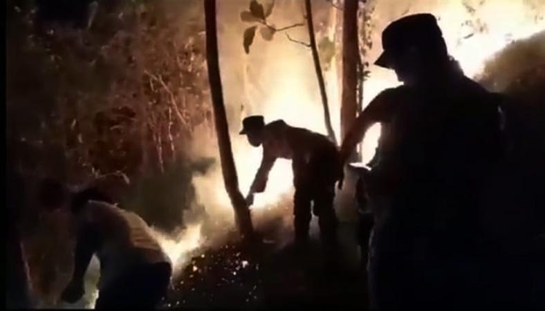 Lahan Hutan Gunung Pager Ijo Kebumen Terbakar, Petugas Berjibaku Padamkan Api