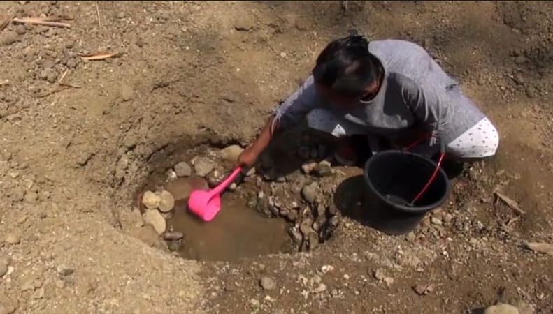 Potret Pilu Warga Tegal Kesulitan Cari Air, Terpaksa Gali Sumur di Sungai Mengering