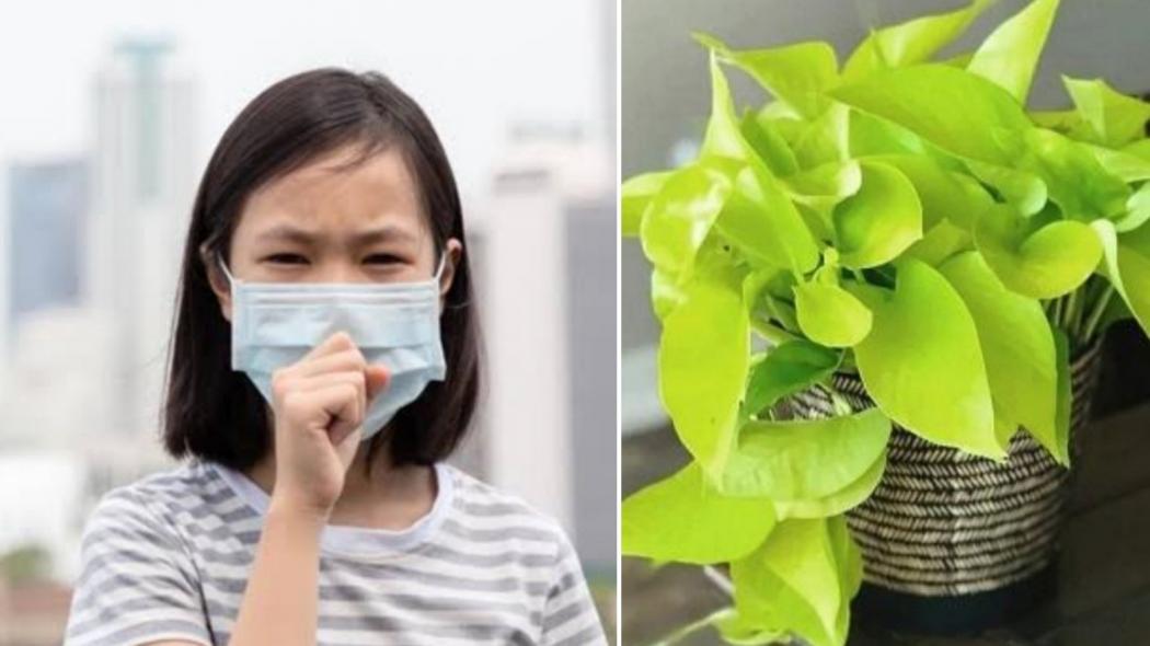 Hati-Hati Polusi Udara di Jakarta Belum Membaik, Begini 5 Cara Melindungi Diri