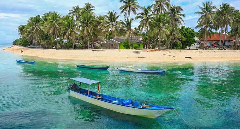 Kampung Unik di Wakatobi, Singgah ke Desa Terasing, Warga Hidup Berdampingan dengan Penyu Langka