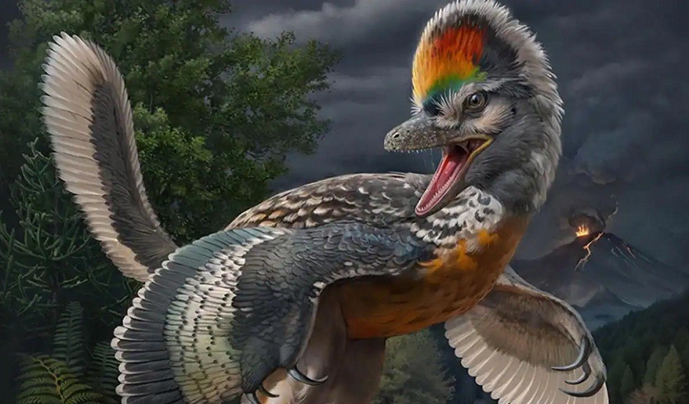 Fosil Dinosaurus Mirip Burung Aneh dengan Ciri-Ciri Mengejutkan Ditemukan di China