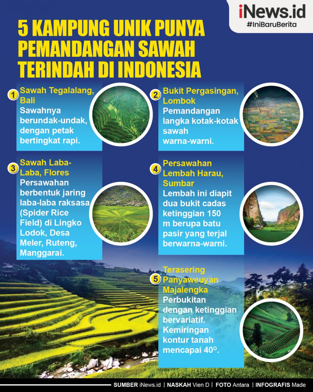 Infografis 5 Kampung Unik Punya Pemandangan Sawah Terindah di Indonesia