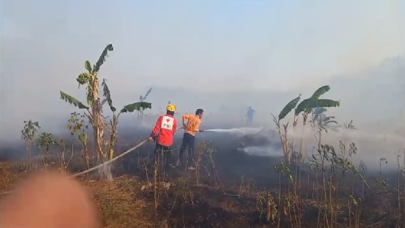 Karhutla Meluas di Banjar Kalsel, Api Nyaris Hanguskan Kebun Warga