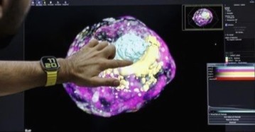 Ilmuwan Israel Ciptakan Embrio Manusia Tanpa Sel Telur, Sperma dan Rahim