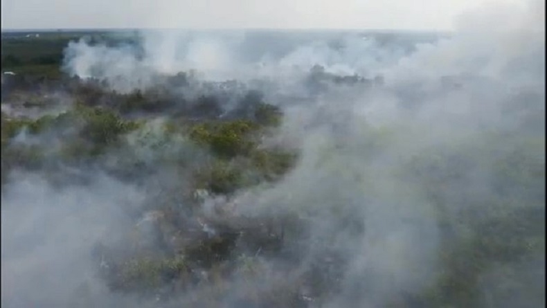 BNPB Deteksi 2.102 Titik Api di Sumsel, Penyebab Kebakaran Hutan dan Lahan