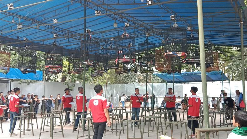 Komunitas Pecinta Burung Antusias Ikuti Lomba Piala Djoni Toat di Bandung