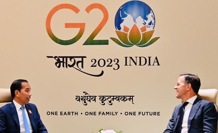 Presiden Jokowi Rayu Belanda Hapus Aturan Diskriminasi Sawit RI