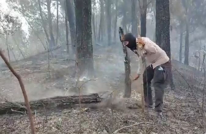 Kebakaran Gunung Arjuno-Welirang Hanguskan 4.825 Ha, Titik Api Kembali Muncul
