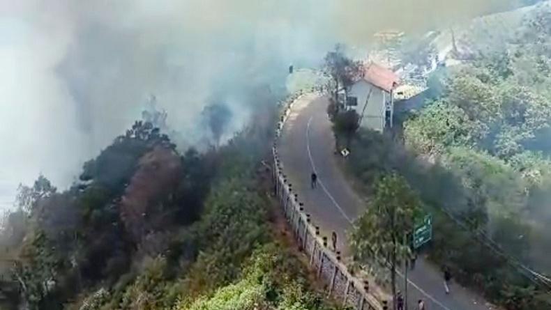 Kemenparekraf Ungkap Kerugian akibat Kebakaran Gunung Bromo Rp89,76 Miliar, Ini Rinciannya!