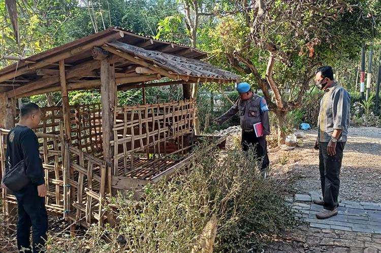 Buron Sejak Februari, 2 Maling Kambing di Kulonprogo Ditangkap Polisi