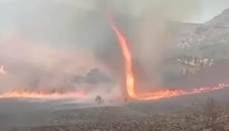 Viral Pusaran Api di Gunung Bromo, BMKG: Bukan Tornado tapi Dust Devil