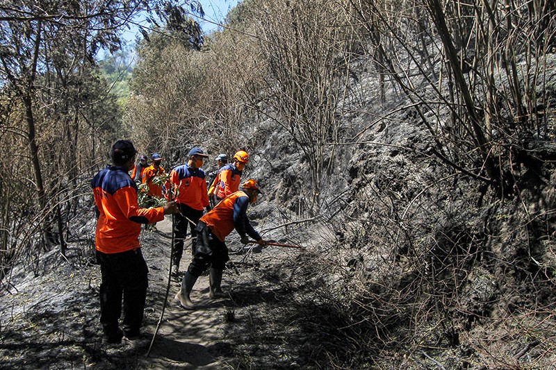 Kebakaran di Savana Bukit Teletubbies Gunung Bromo Sudah Padam