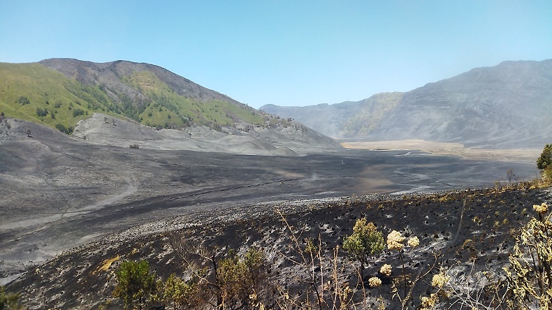 Wisata Gunung Bromo Lumpuh Imbas Kebakaran, Kafe Tutup Penginapan Sepi