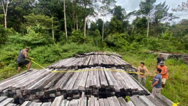 Kasus Pembalakan Liar di Teluk Bintuni Papua Barat, 1 Oknum ASN Jadi Tersangka