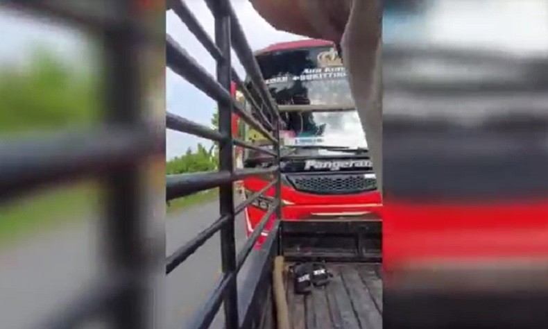Video Viral Bus Nyaris Tabrak Mobil Pikap saat Diminta Bunyikan Klakson Telolet
