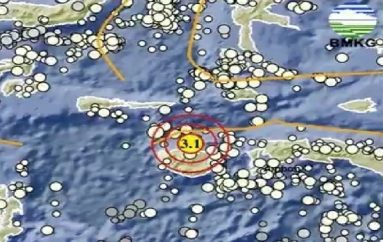 Gempa Hari Ini Magnitudo 3,1 Guncang Buru Maluku