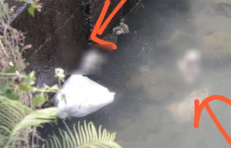 Bupati Sleman Kustini Prihatin Ada 2 Bayi Perempuan Dibuang di Sungai Buntung 