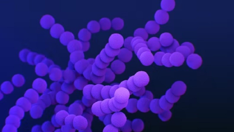 Keren, Ilmuwan Modifikasi Bakteri untuk Hasilkan Listrik