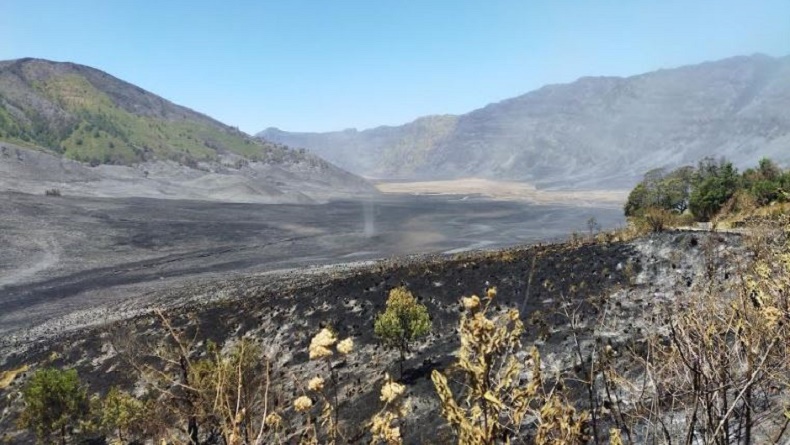 Gunung Bromo Kembali Dibuka, Wisatawan Wajib Tahu Cara Pesan Tiketnya!