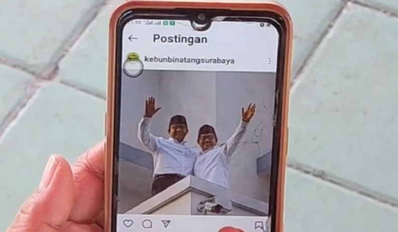 Heboh Akun Instagram Kebun Binatang Surabaya Unggah Foto Anies-Muhaimin, Diretas?