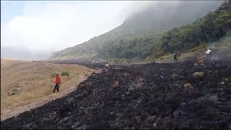 Kebakaran di Alun-alun Suryakencana Gunung Gede Cianjur Padam, 3 Hektare Hangus