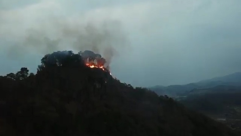 Suhu Panas Ekstrem, 5 Hektare Hutan Gunung Kacapi Sumedang Terbakar