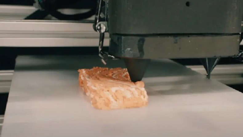 Australia Jual Daging Salmon Sintetis Hasil Printer 3D, Bisa Dikonsumsi Konsumen