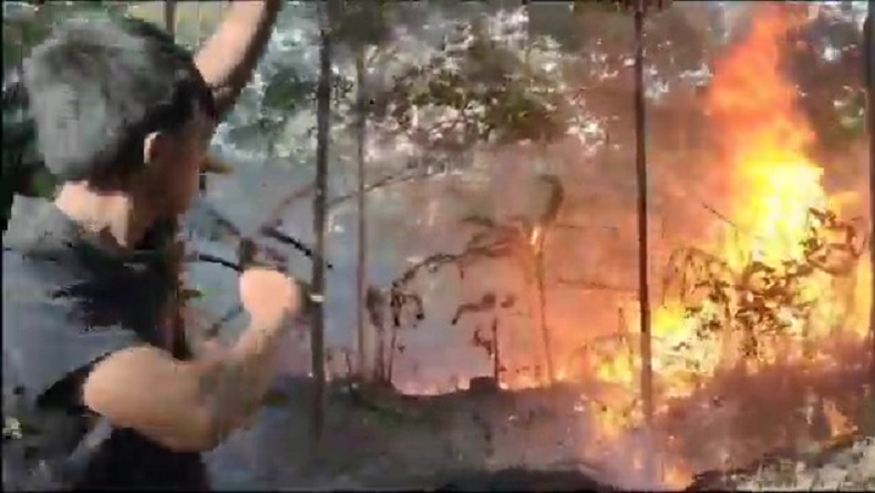Lahan Perkebunan Karet 17 Hektare di Gunung Gombong Cianjur Terbakar  