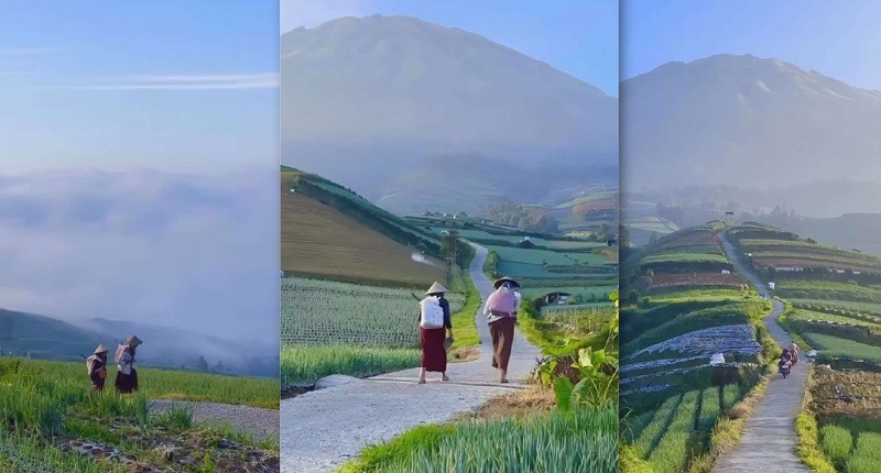 Kampung Unik di Magelang, Nikmati Pemandangan Terasering Suasananya seperti di Luar Negeri 