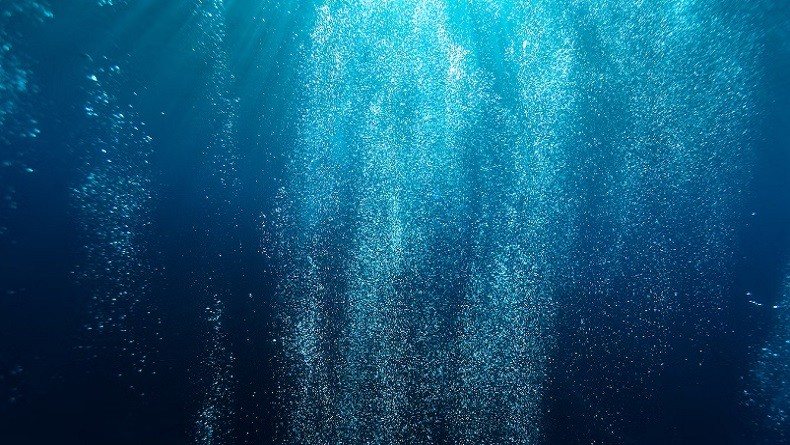 Gak Nyangka, Tokoh Kartun Ini Mirip Hewan Laut Dalam