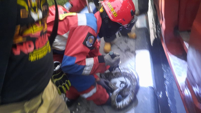 Ngeri, Damkar Evakuasi Ular Sanca 2,5 Meter dari Bawah Kursi Angkot di Cakung