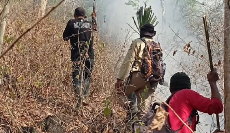 Cegah Kebakaran Taman Nasional Baluran Meluas, Petugas Buat Ilaran Api