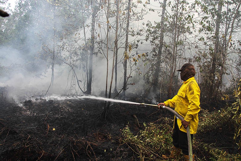 Karhutla di Kalteng, BNPB Catat 379,76 Hektare Lahan Terbakar sejak Awal Tahun