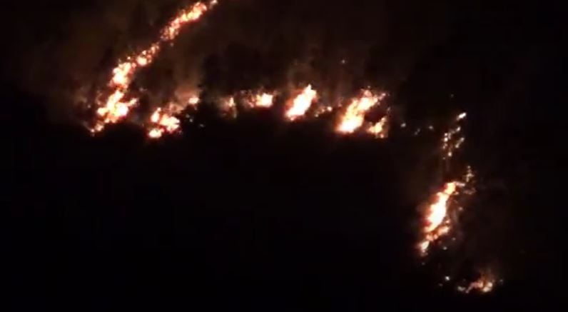 Hutan Gunung Lawu Kembali Terbakar, Ratusan Personel Dikerahkan Padamkan Api