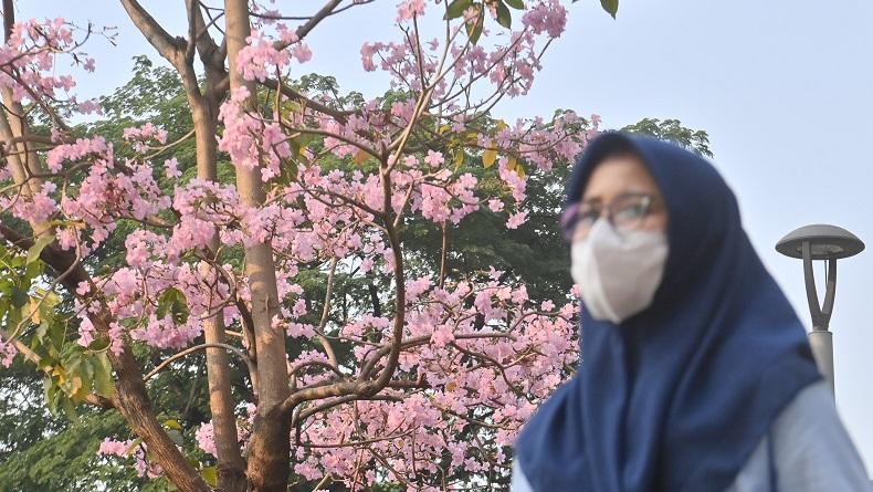 Bunga Tabebuya Jadi Primadona Warga Jakarta, Pemkot Jakbar Tanam 50 Pohon