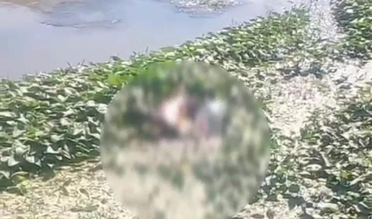 Bekasi Geger, Mayat Pria Ditemukan Mengapung di Sungai Kalimalang