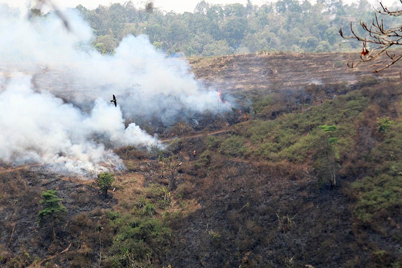 21 Bencana Melanda RI Sepekan, Paling Banyak Karhutla dan Kekeringan
