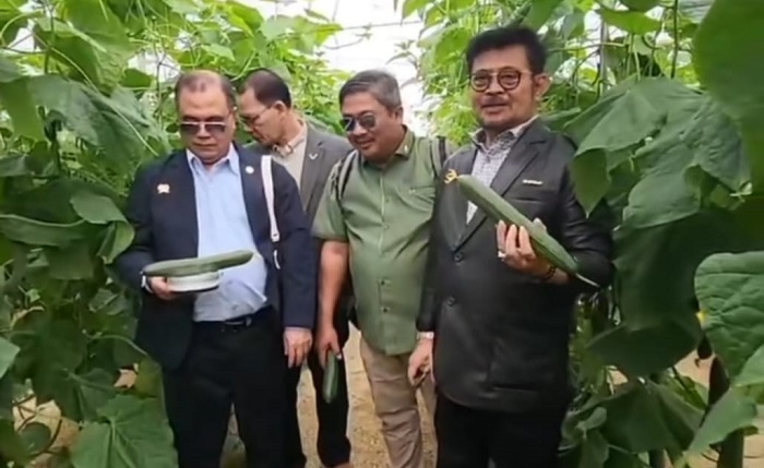 Mentan Syahrul Yasin Limpo Menghilang, Jokowi Tunjuk Wamentan Gantikan Tugas