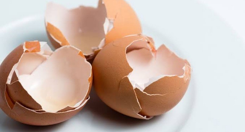 Viral Cangkang Telur Dijadikan Tambahan Protein pada Makanan, Apa Manfaatnya?