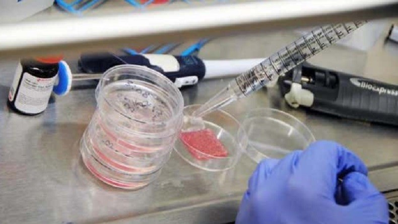 Ilmuwan Ciptakan Kulit Buatan Gunakan Printer 3D, Hasilnya Lebih Alami dari Cangkok