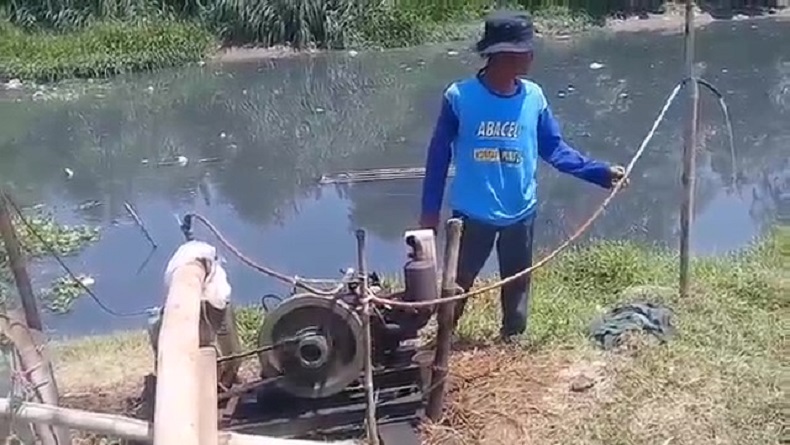Waduh, Petani Pantura Subang Gunakan Sungai Tercemar Limbah untuk Pengairan Sawah