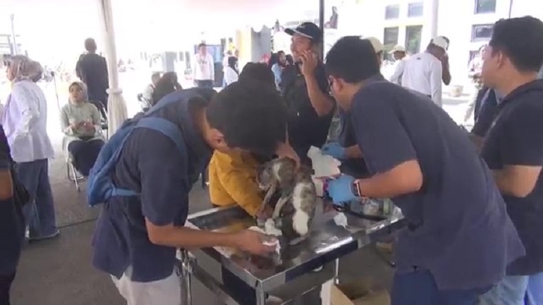 Hari Rabies Sedunia, Ratusan Warga Subang Antusias Vaksin Hewan Peliharaan