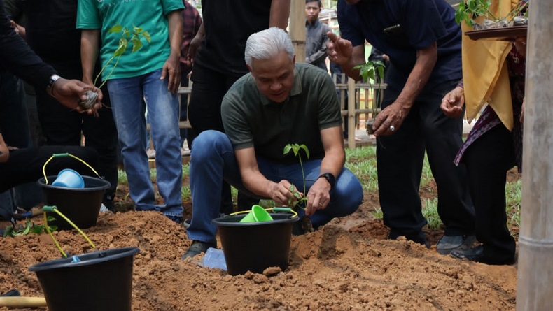 Ganjar Pranowo Kunjungi Agro Eduwisata Kembangan, Panen Sayur dan Buah