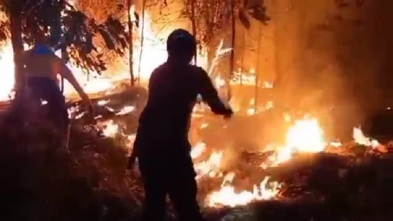 Hutan Karet 2 Hektare di Majalengka Terbakar, 5 jam Api Baru Padam 