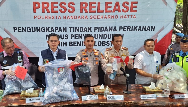 Coba Selundupkan Benih Lobster Senilai Rp11,8 Miliar ke Singapura, 2 Orang Ditangkap