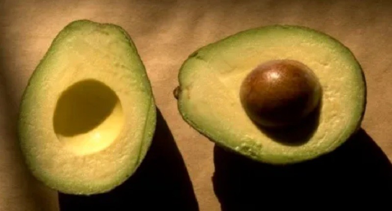 Fakta Menarik Buah Alpukat, Sudah Ada sejak Zaman Purbakala