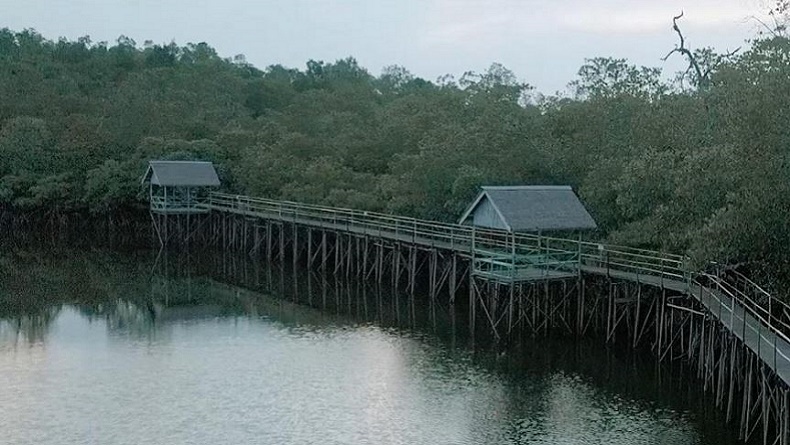 8 Destinasi Wisata Alam Dekat IKN Nusantara, Ada Hutan Mangrove hingga Goa Tapak Raja