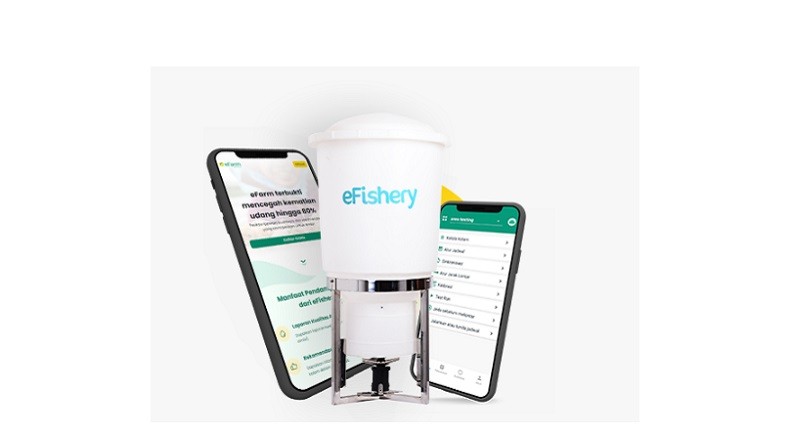 Kisah Sukses Gibran Huzaifah, Pendiri eFishery yang Pernah Bikin Kolom Ikan untuk Bertahan Hidup